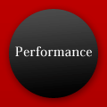 PERFORMANCE